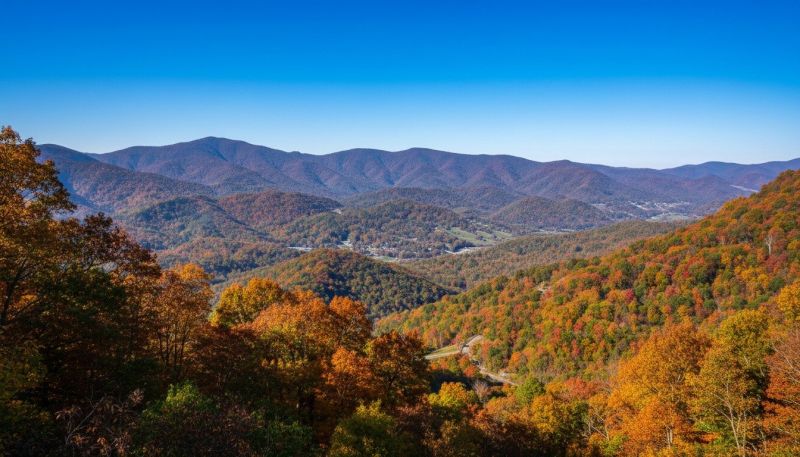New Market, TN